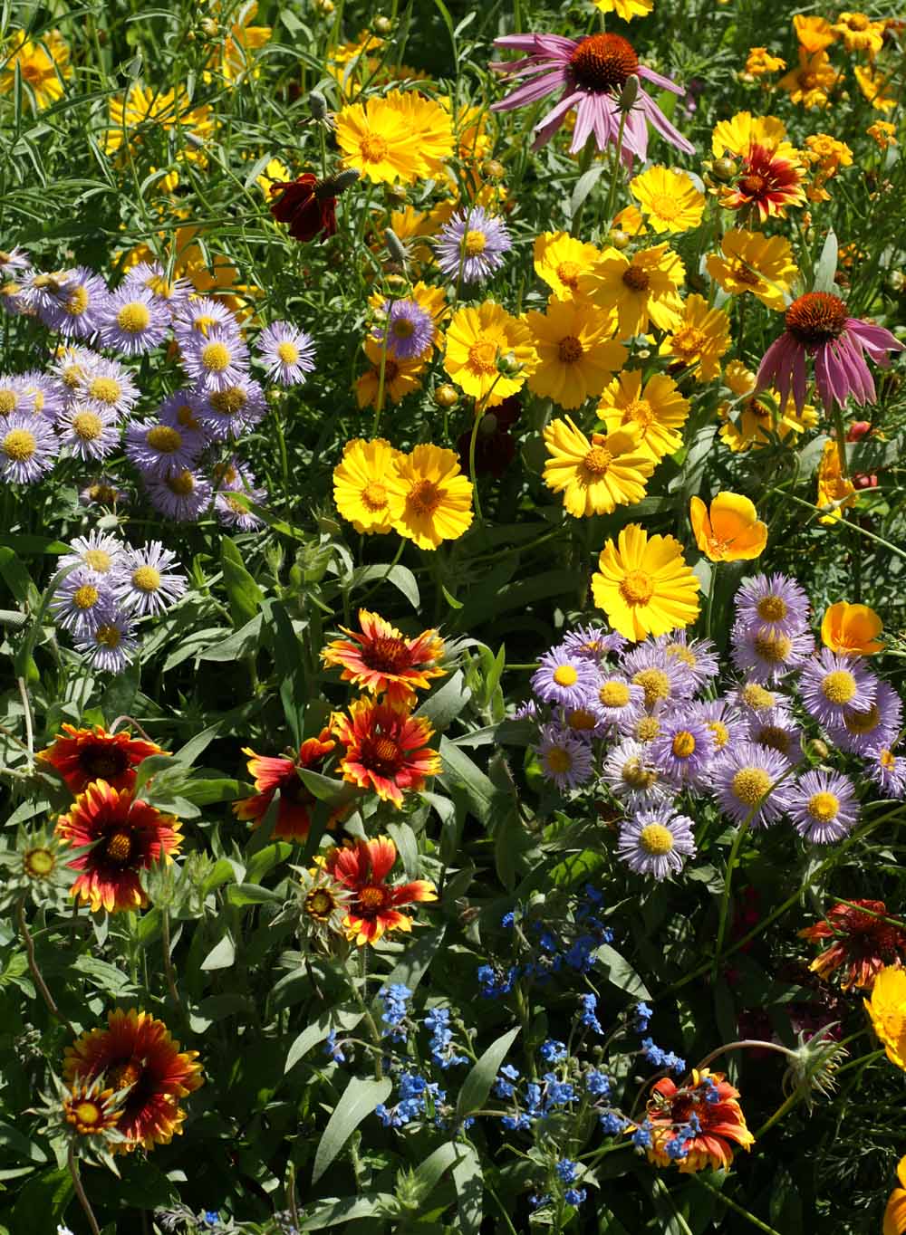 Bee Feed Mix
