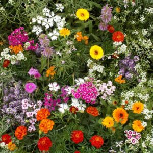 Fragrant Mix