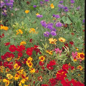 Low-growing Mix