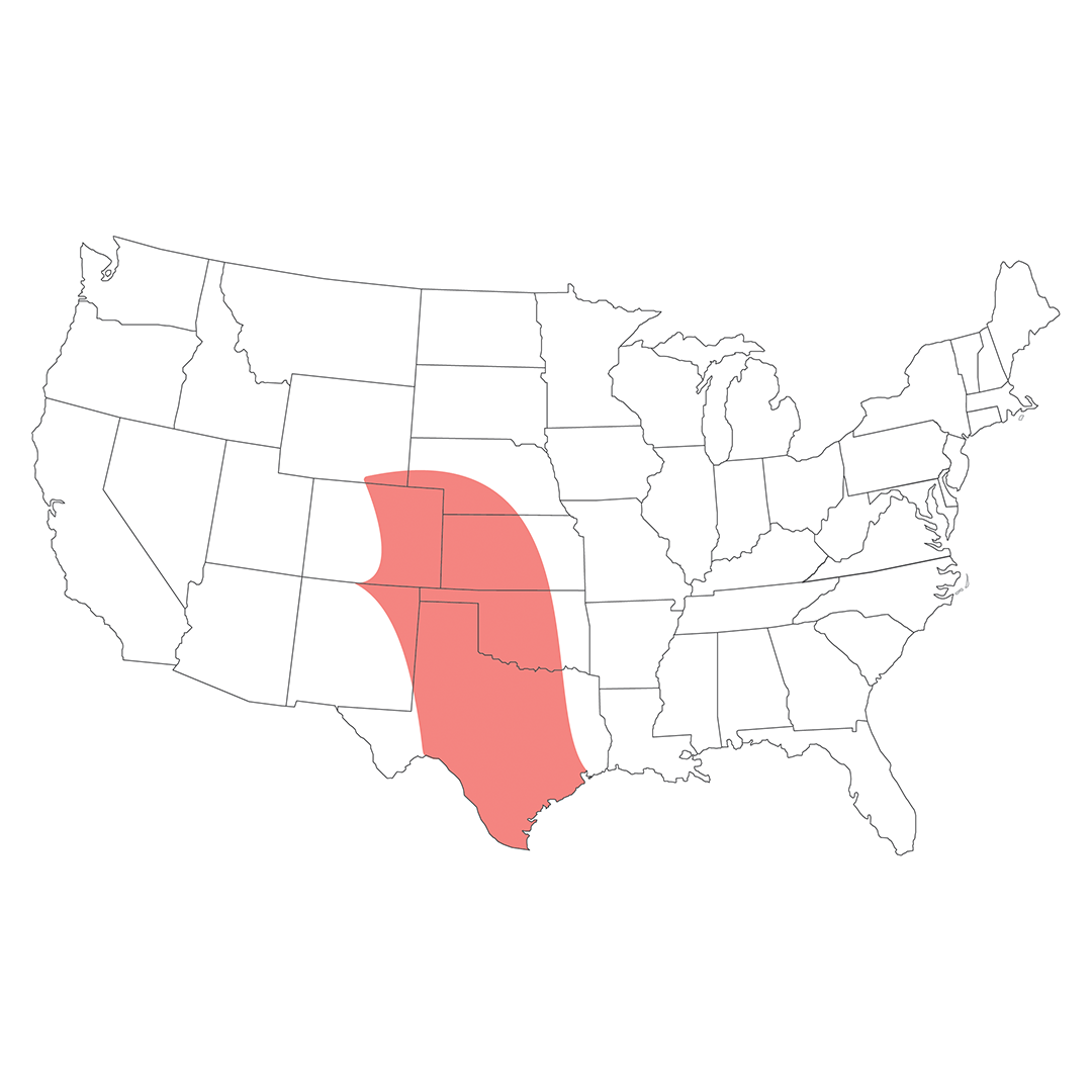 Southern Plains Native Grass Mix